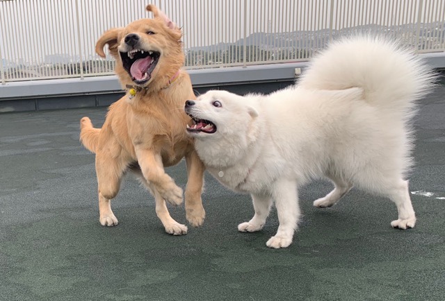 ファイル 6787-1.jpg