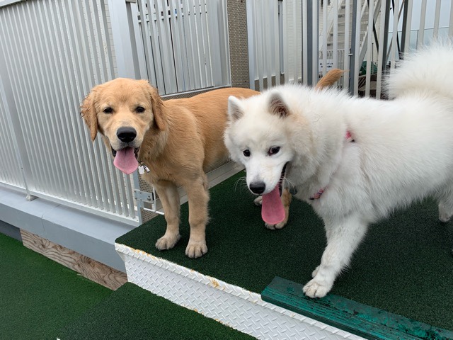 ファイル 6787-2.jpg