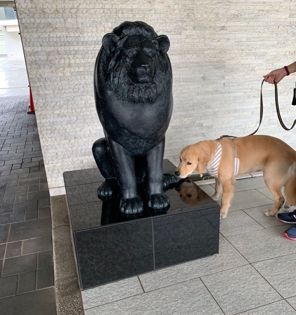 ファイル 6787-3.jpg