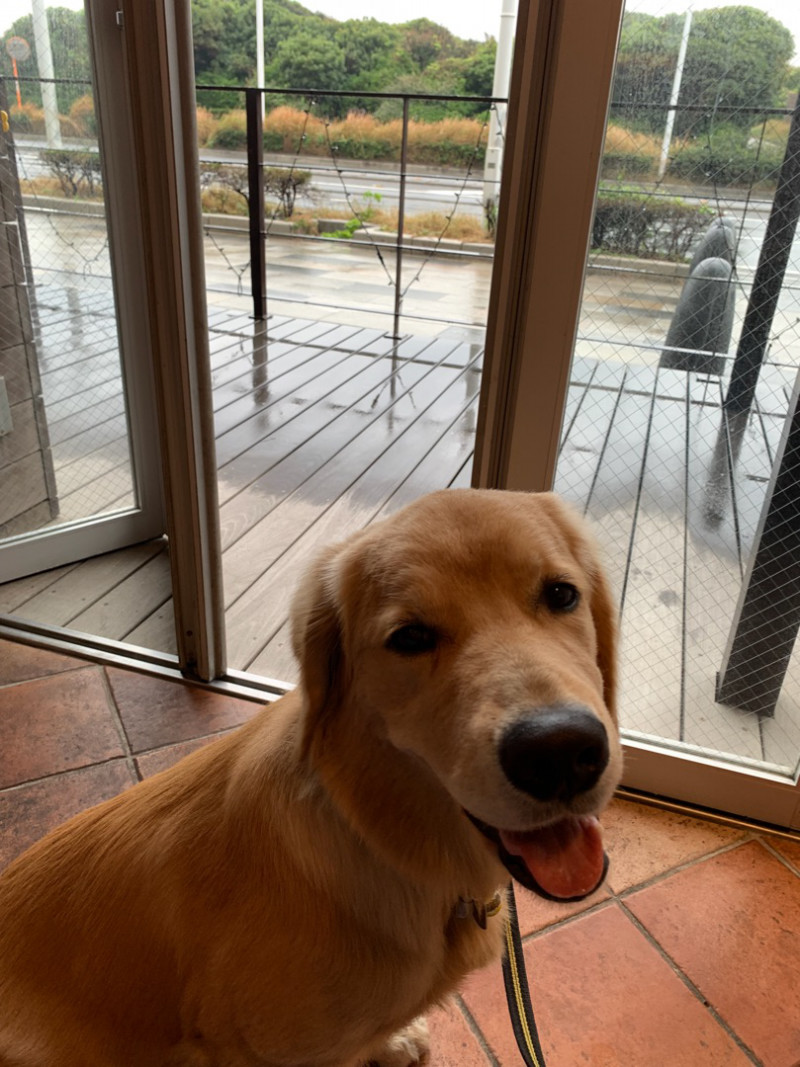 ファイル 6787-4.jpg