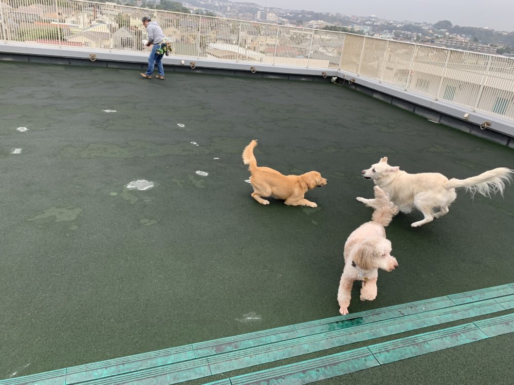 ファイル 6787-5.jpg