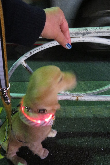 ファイル 6789-2.jpg