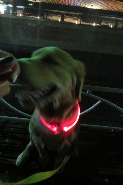 ファイル 6789-3.jpg