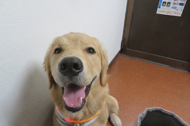 ファイル 6789-4.jpg