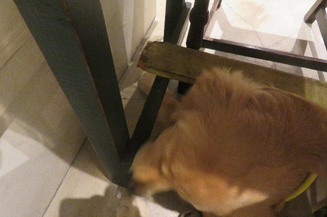 ファイル 6789-5.jpg