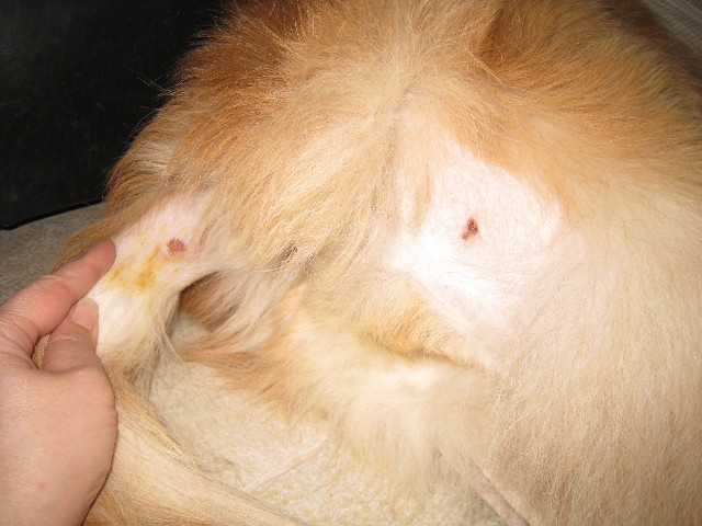 ファイル 679-2.jpg