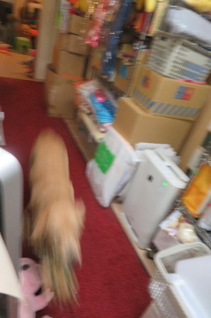 ファイル 6791-4.jpg