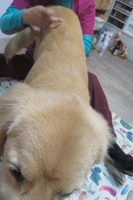 ファイル 6792-4.jpg