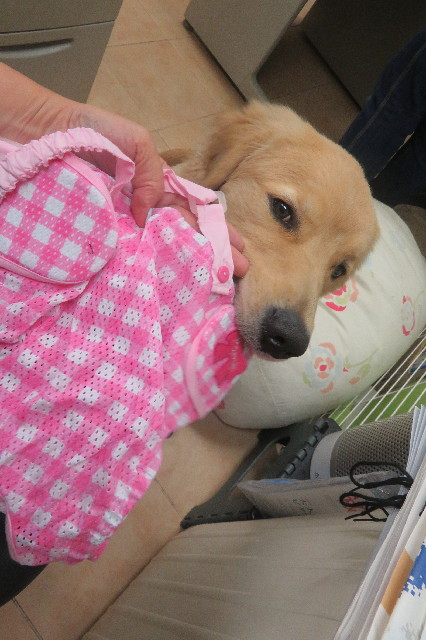 ファイル 6792-5.jpg