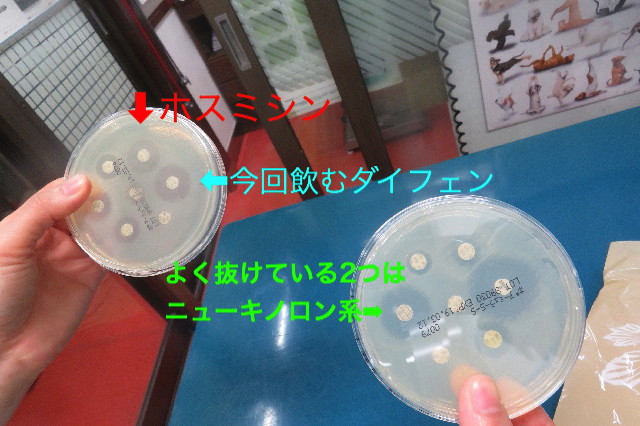 ファイル 6793-1.jpg