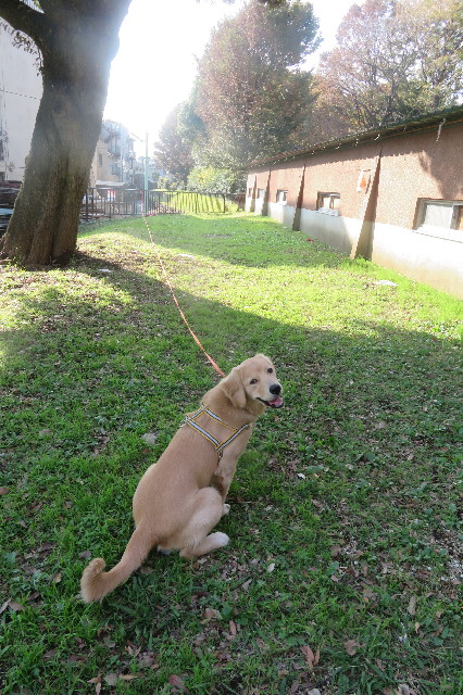 ファイル 6793-3.jpg