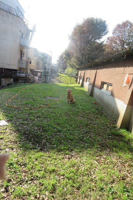 ファイル 6793-4.jpg