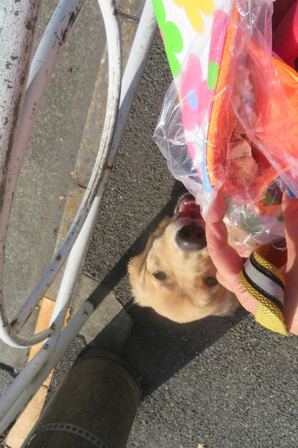 ファイル 6794-2.jpg