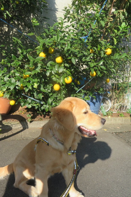 ファイル 6794-4.jpg