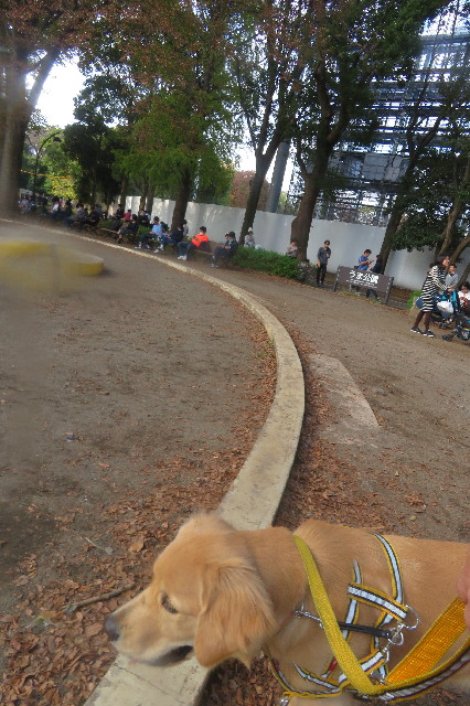 ファイル 6794-5.jpg