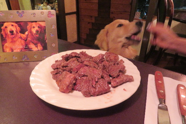 ファイル 6797-4.jpg