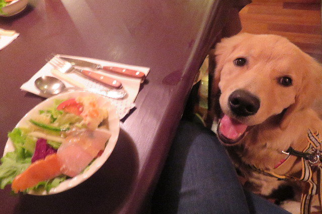 ファイル 6797-5.jpg