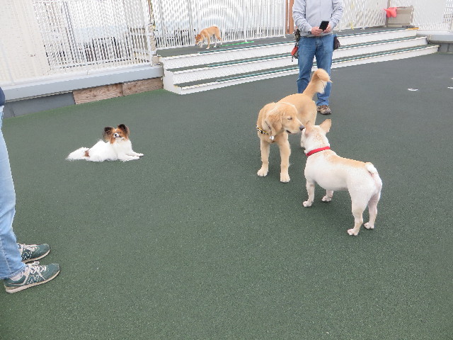 ファイル 6799-3.jpg