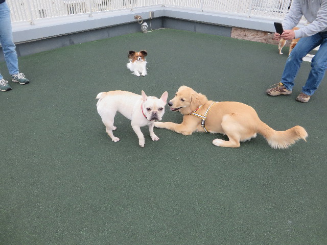 ファイル 6799-4.jpg