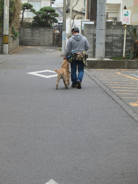 ファイル 6799-5.jpg