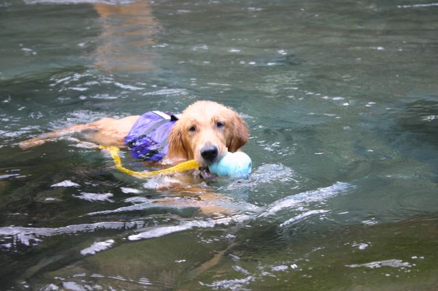 ファイル 68-1.jpg