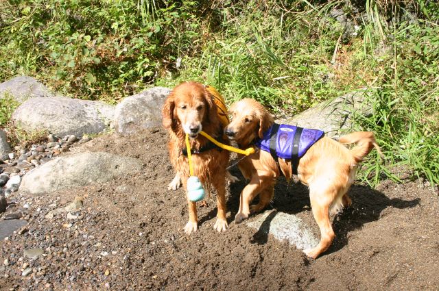 ファイル 68-2.jpg