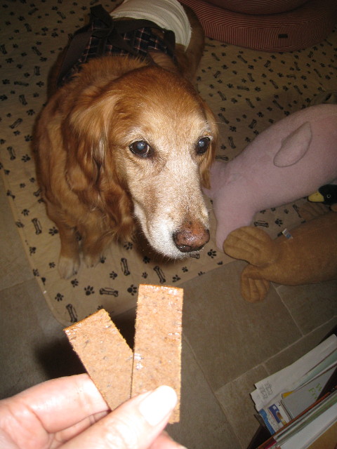 ファイル 680-1.jpg