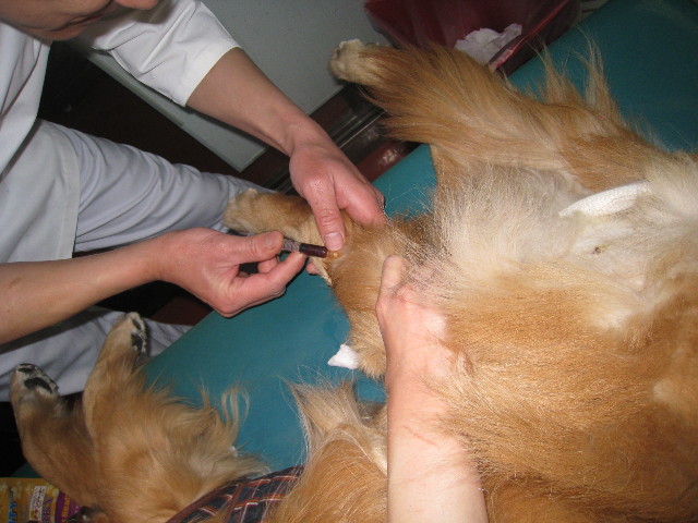 ファイル 680-3.jpg