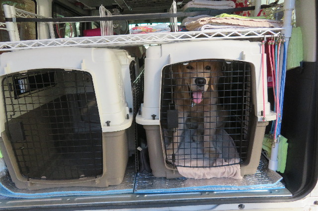 ファイル 6802-1.jpg