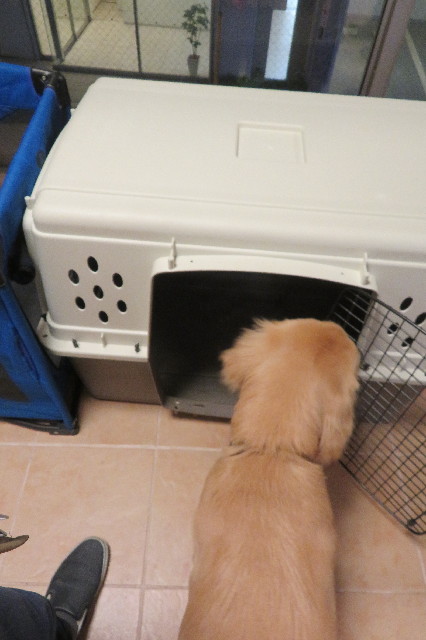 ファイル 6802-3.jpg