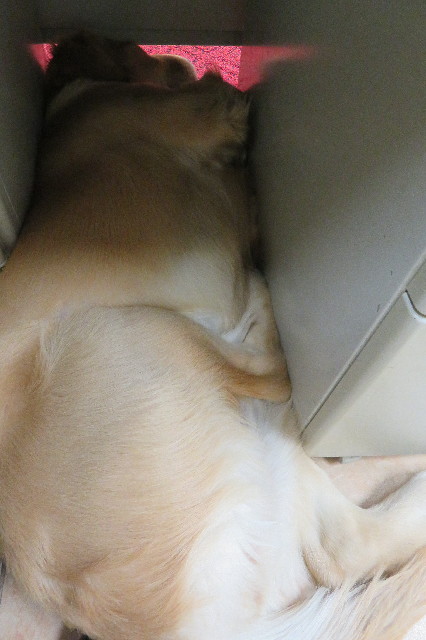 ファイル 6802-4.jpg