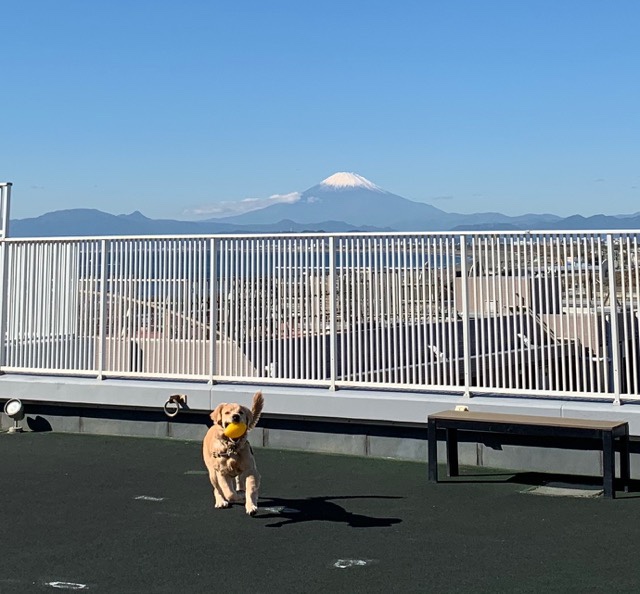 ファイル 6803-1.jpg