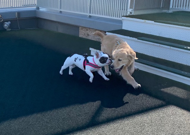 ファイル 6803-3.jpg