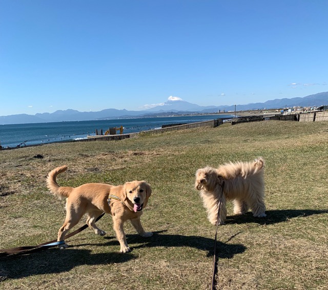 ファイル 6803-4.jpg