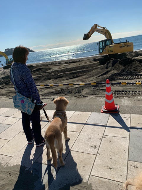 ファイル 6803-5.jpg