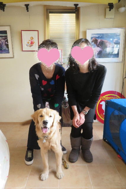 ファイル 6804-1.jpg