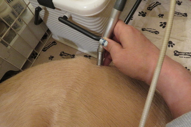 ファイル 6805-1.jpg