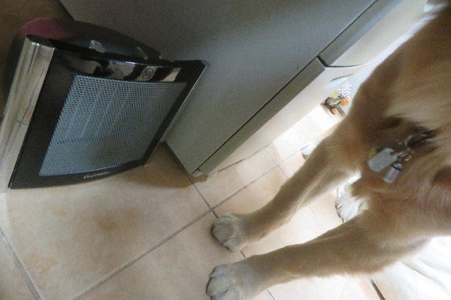 ファイル 6805-2.jpg