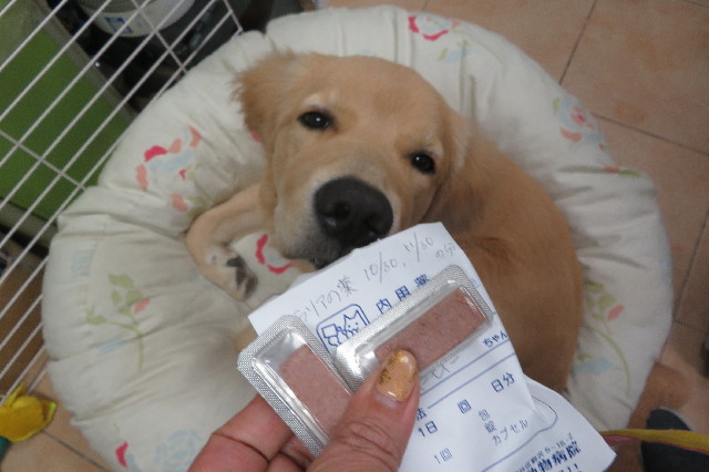 ファイル 6805-4.jpg