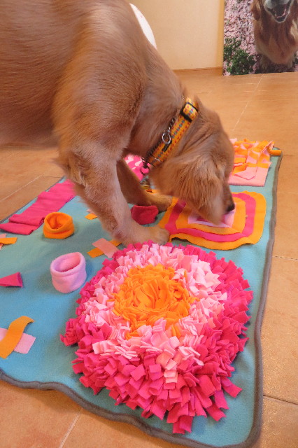 ファイル 6807-1.jpg