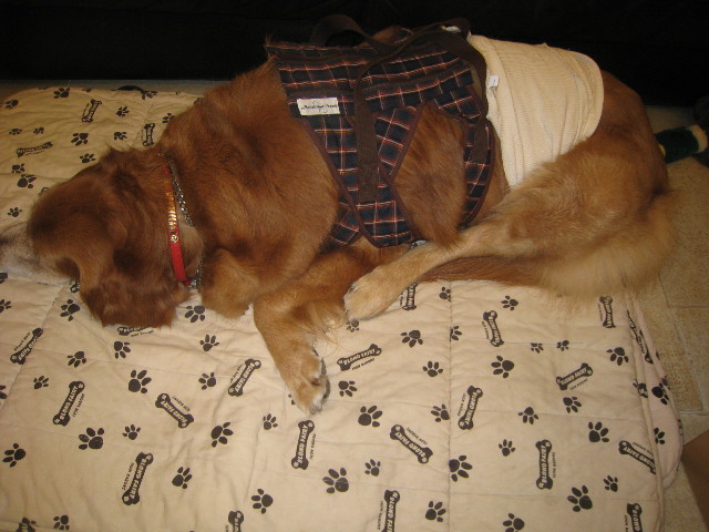 ファイル 681-2.jpg