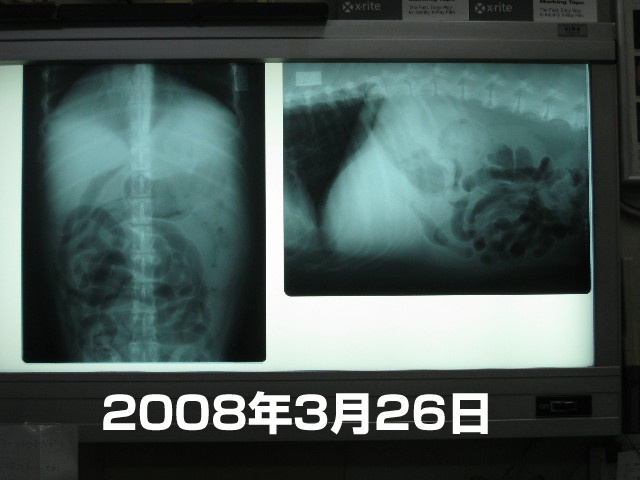 ファイル 681-4.jpg