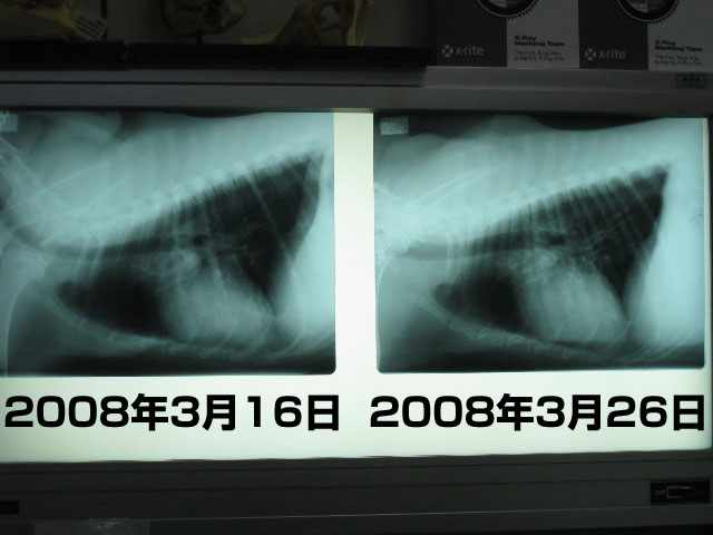 ファイル 681-5.jpg