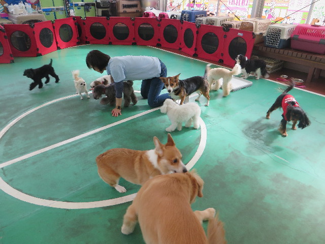 ファイル 6810-1.jpg