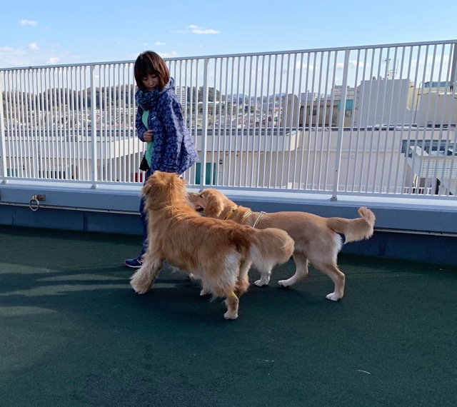 ファイル 6813-2.jpg