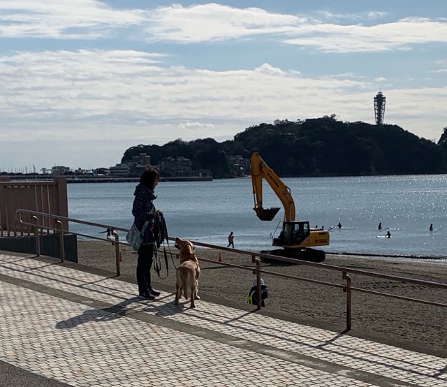 ファイル 6813-4.jpg