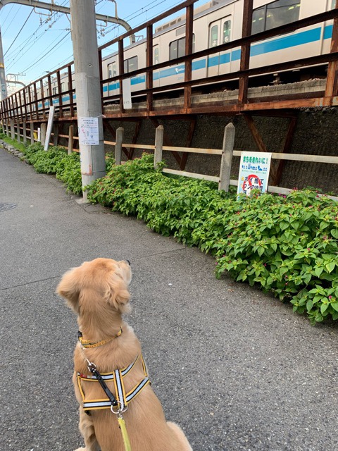 ファイル 6813-5.jpg