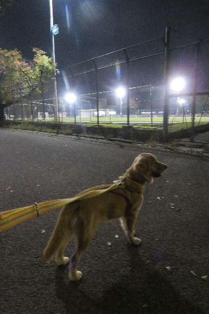 ファイル 6814-3.jpg