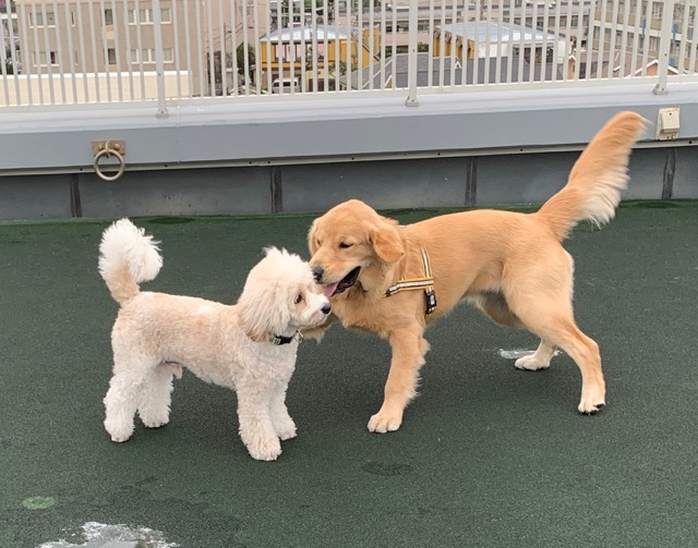 ファイル 6816-2.jpg