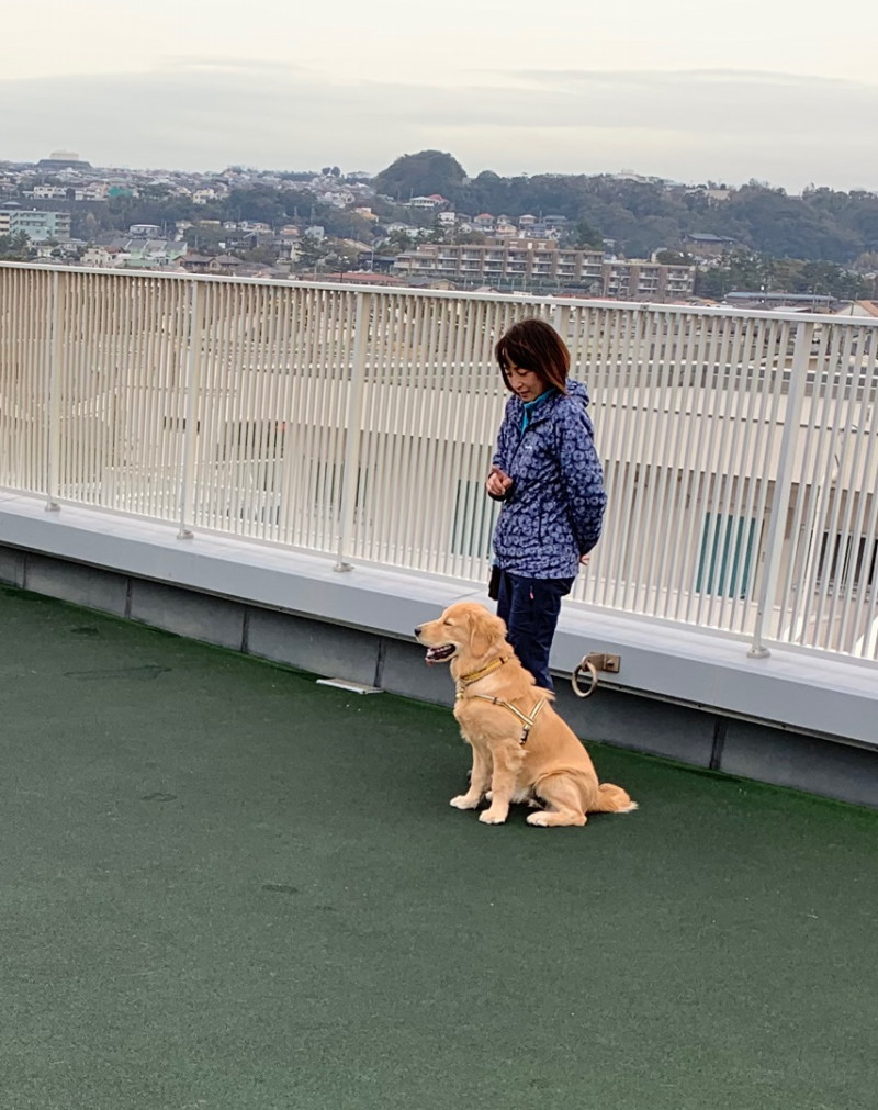 ファイル 6816-4.jpg